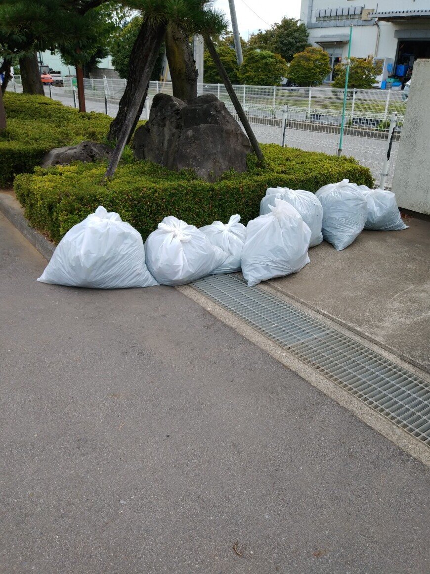 IMG00390.jpg