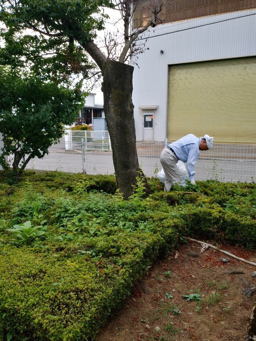 IMG00388_HDR.jpg